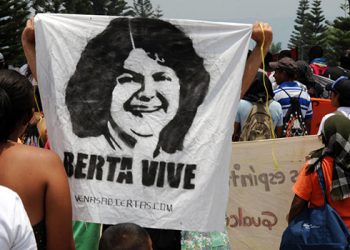 berta-vive (1)