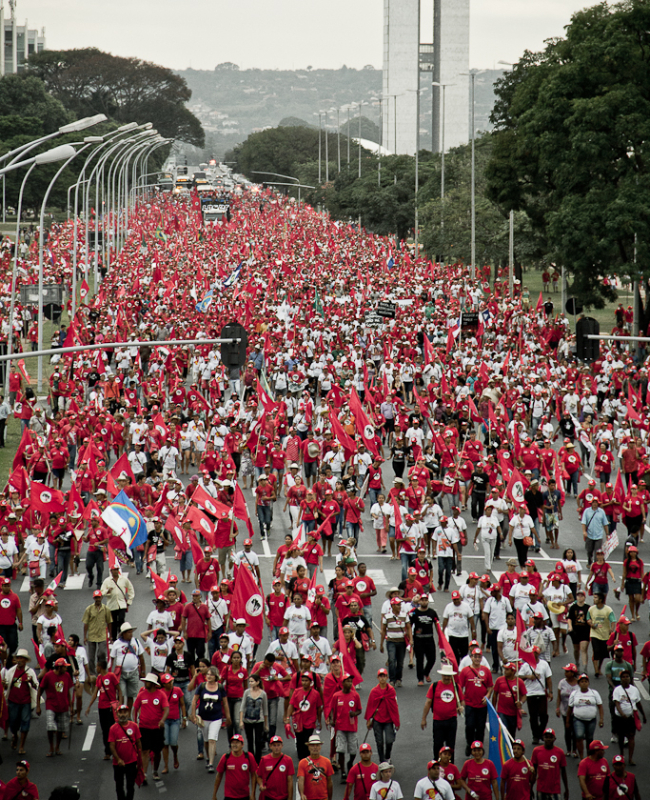 tapa suple brasil